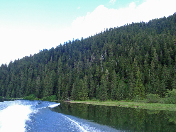 The Stikine River 